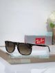 Best Quality New Ray-Ban RB2216 Rectangle Sunglasses (2)_th.jpg